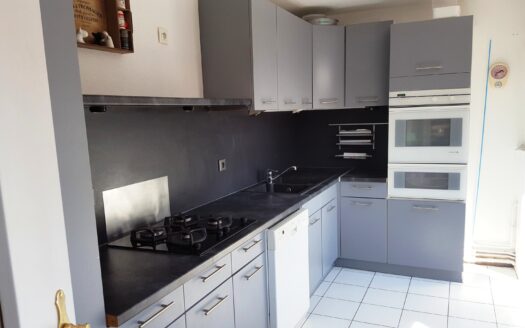 Spacieux 3 pièces Selestat centre