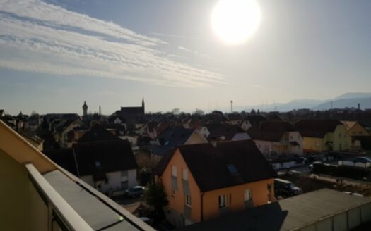 Joli 2 pièces meublé à Selestat avec terrasse, cave et garage