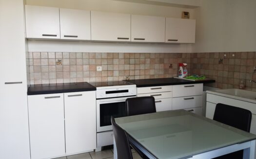 Lumineux 2 pièces avec terrasse et parking Résidence la Californie Selestat