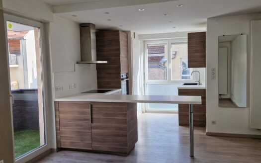 Appartement 2 pièces au coeur de Selestat avec balcon et parking privé