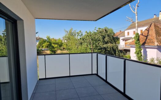 Appartement 3 pièces avec terrasse et garage à Selestat
