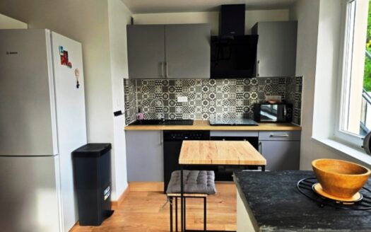 Appartement 3 pièces avec petite cour et parking à Selestat