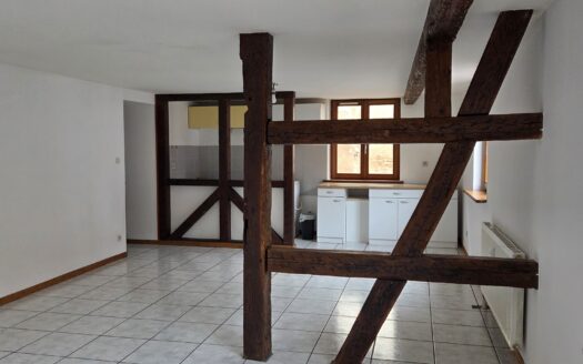 A louer à Selestat, centre historique