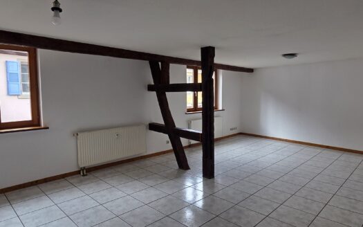 A louer à Selestat, centre historique