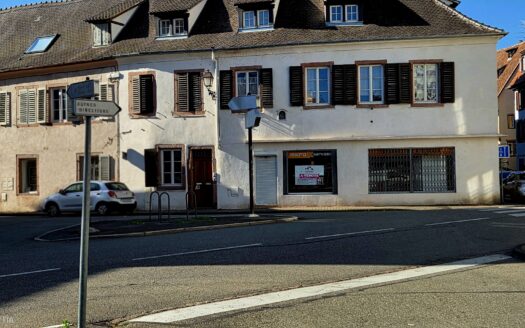 Selestat centre  local commercial