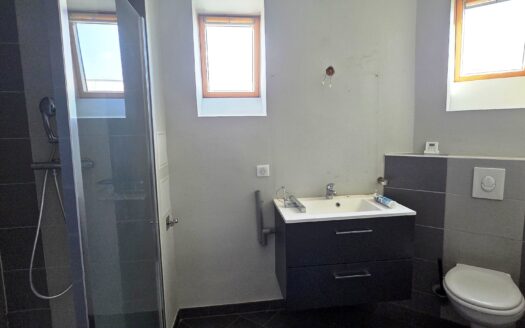 Spacieux 4 pièces dans une maison de caractère à Selestat