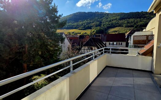 Appartement 3 pièces dans une résidence à Châtenois