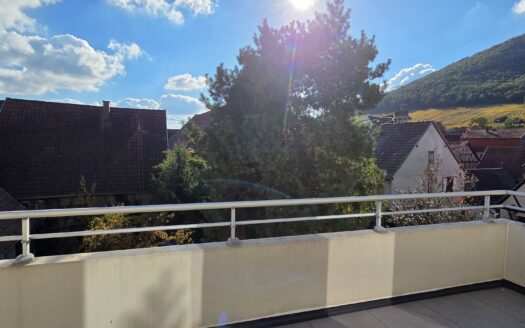 Appartement 3 pièces dans une résidence à Châtenois