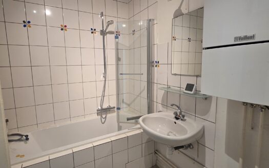 Appartement 2/3 pièces à louer – Centre-ville de Sélestat