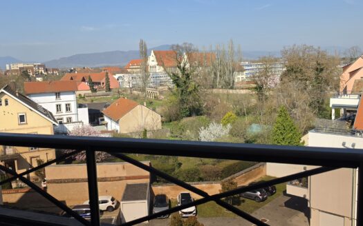 Trois pieces en duplex à Selestat