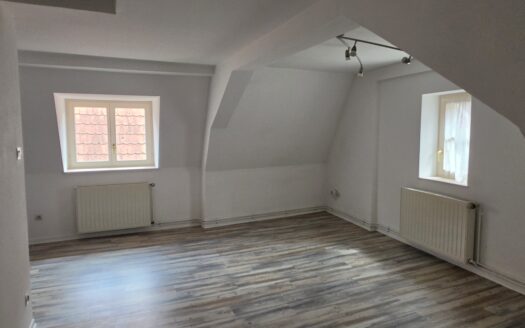 Appartement 2 pièces Selestat centre au dernier étage