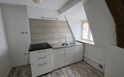 Appartement 2 pièces Selestat centre au dernier étage
