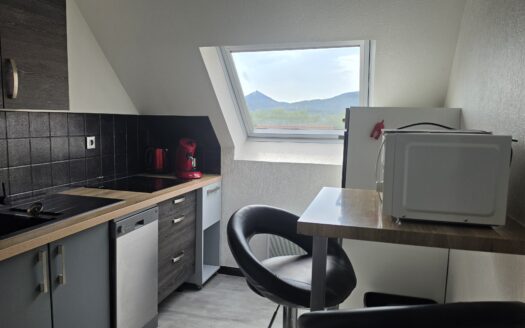 Joli 2 pièces meublé à Selestat avec terrasse, cave et garage