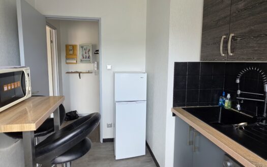 Joli 2 pièces meublé à Selestat avec terrasse, cave et garage