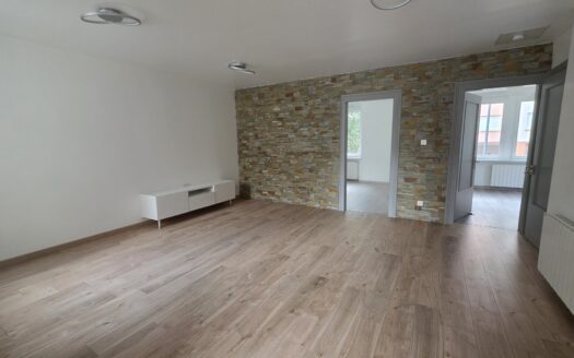 Appartement 3 pièces avec petite cour et parking à Selestat