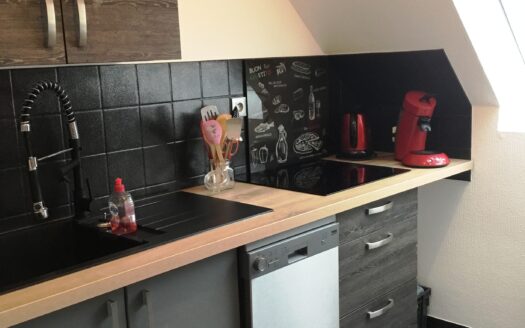 Joli 2 pièces meublé à Selestat avec terrasse, cave et garage