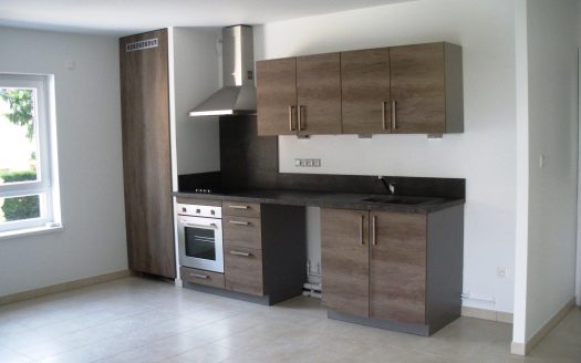 Appartement 2/3 pièces récent à Selestat