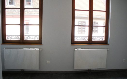 Lumineux studio au centre de Selestat