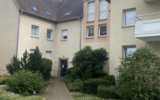 A Chatenois très bel appartement