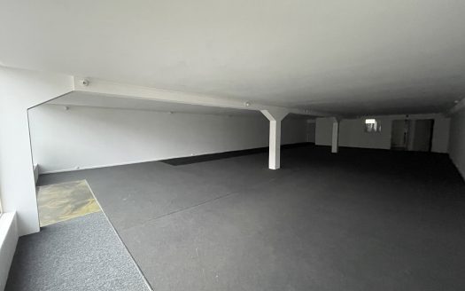 SELESTAT ZONE SUD