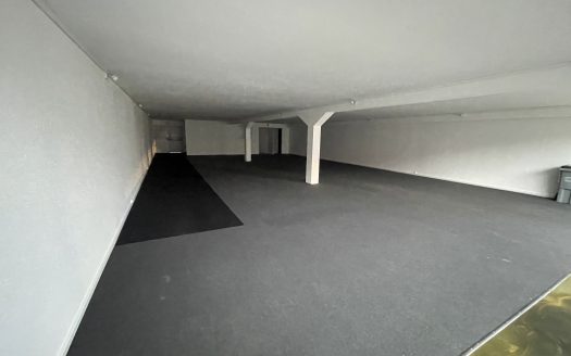 SELESTAT ZONE SUD
