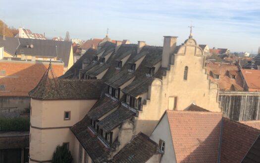 SELESTAT, Appt type F4 au dernier étage + Garage