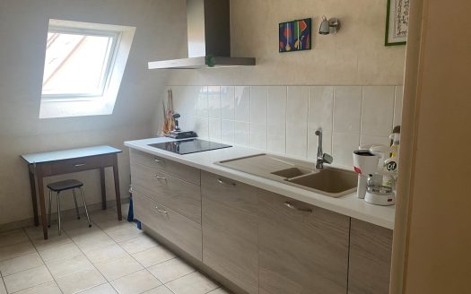 A Chatenois très bel appartement