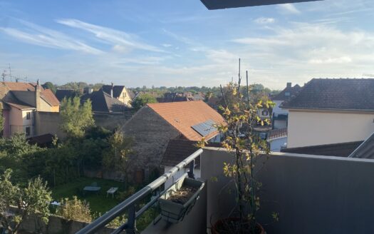 Selestat centre . Dans la belle résidence le Victoria