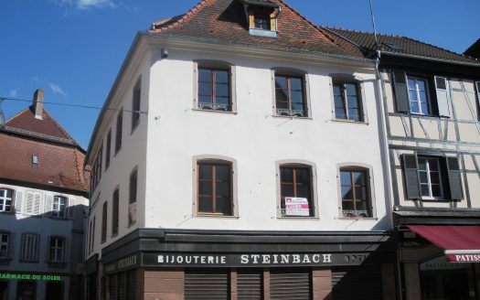 Lumineux studio au centre de Selestat