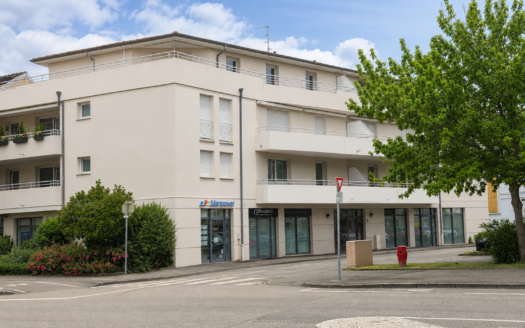 Sélestat – Superbe 4 pièces en attique avec vaste terrasse